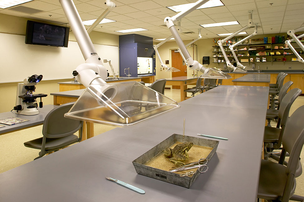 Minnesota west community technical college bkv group